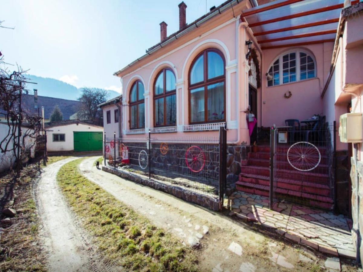 Love Nest Brasov Phòng bức ảnh